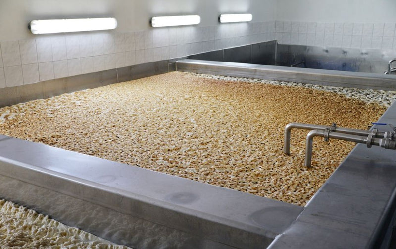 Você Conhece os Processos de Fermentação da Cerveja?