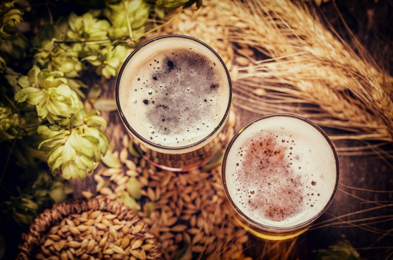 Malte, Cevada e Lúpulo: A matéria-prima da cerveja e do chopp